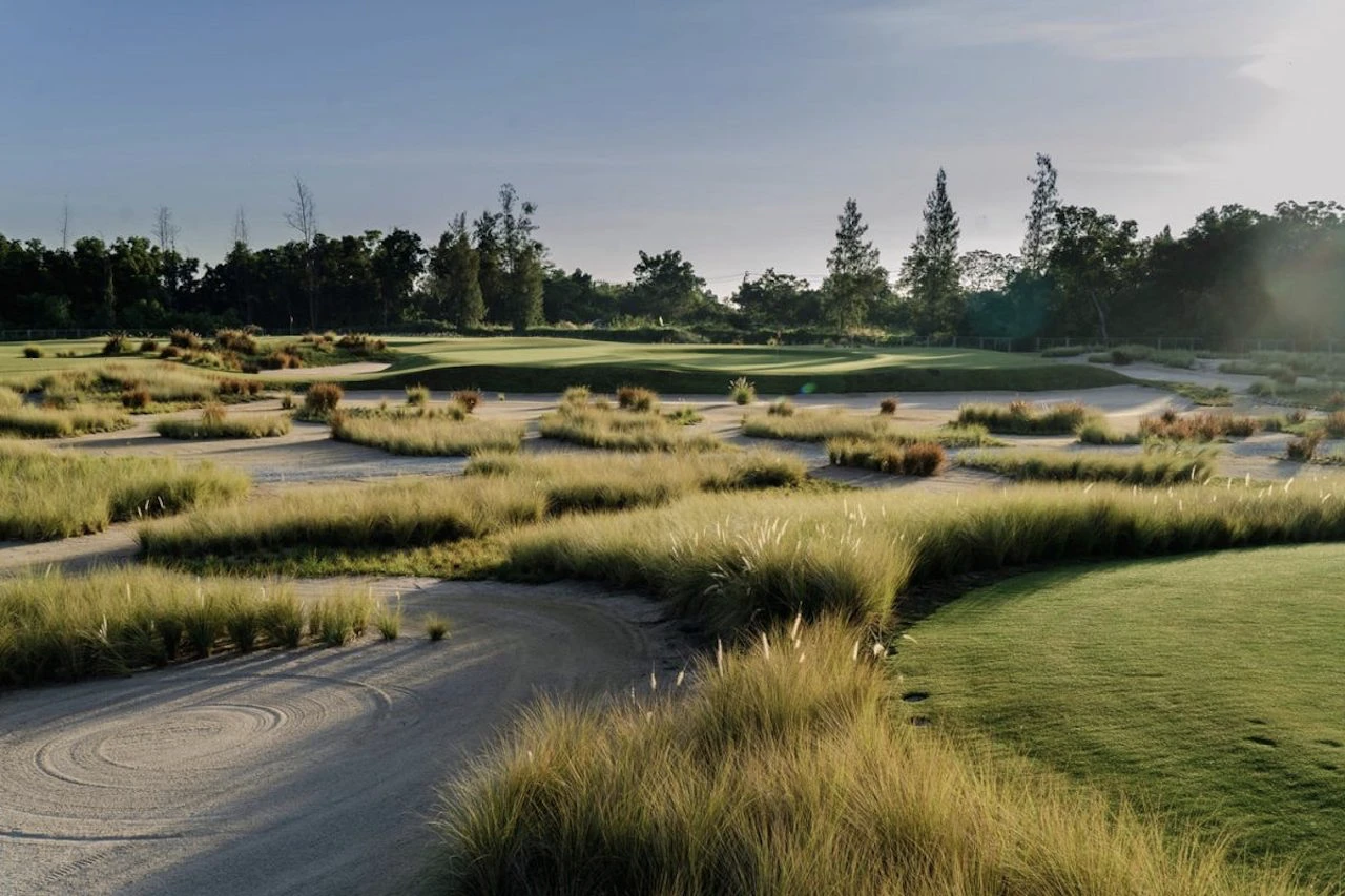 tall grass at ballyshear golf links ban rakat club